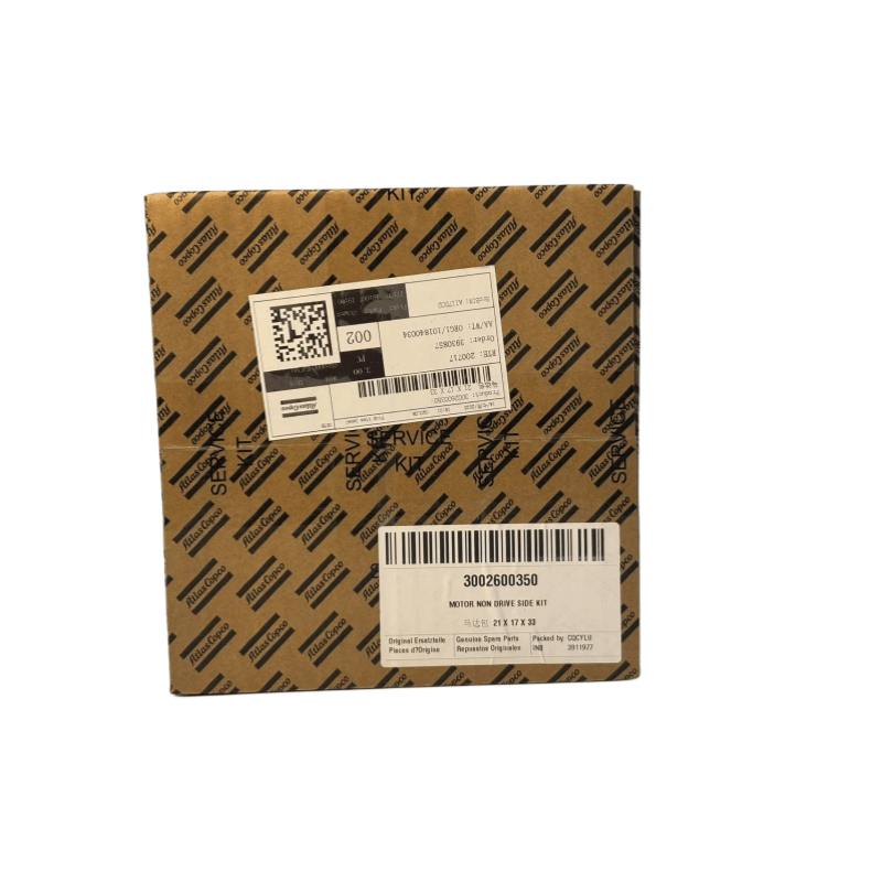 Orihinal na 3002600350 Atlas Copco Motor Non Drive Side Kit Para sa Mga Injected Screw Compressors ng Langis